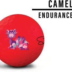 Saintnine America Saintnine Misty Premium Matte Golf Balls 15 Saintnine America Saintnine Misty Premium Matte Golf Balls -Golf Clubs Shop MistyMatteRed1